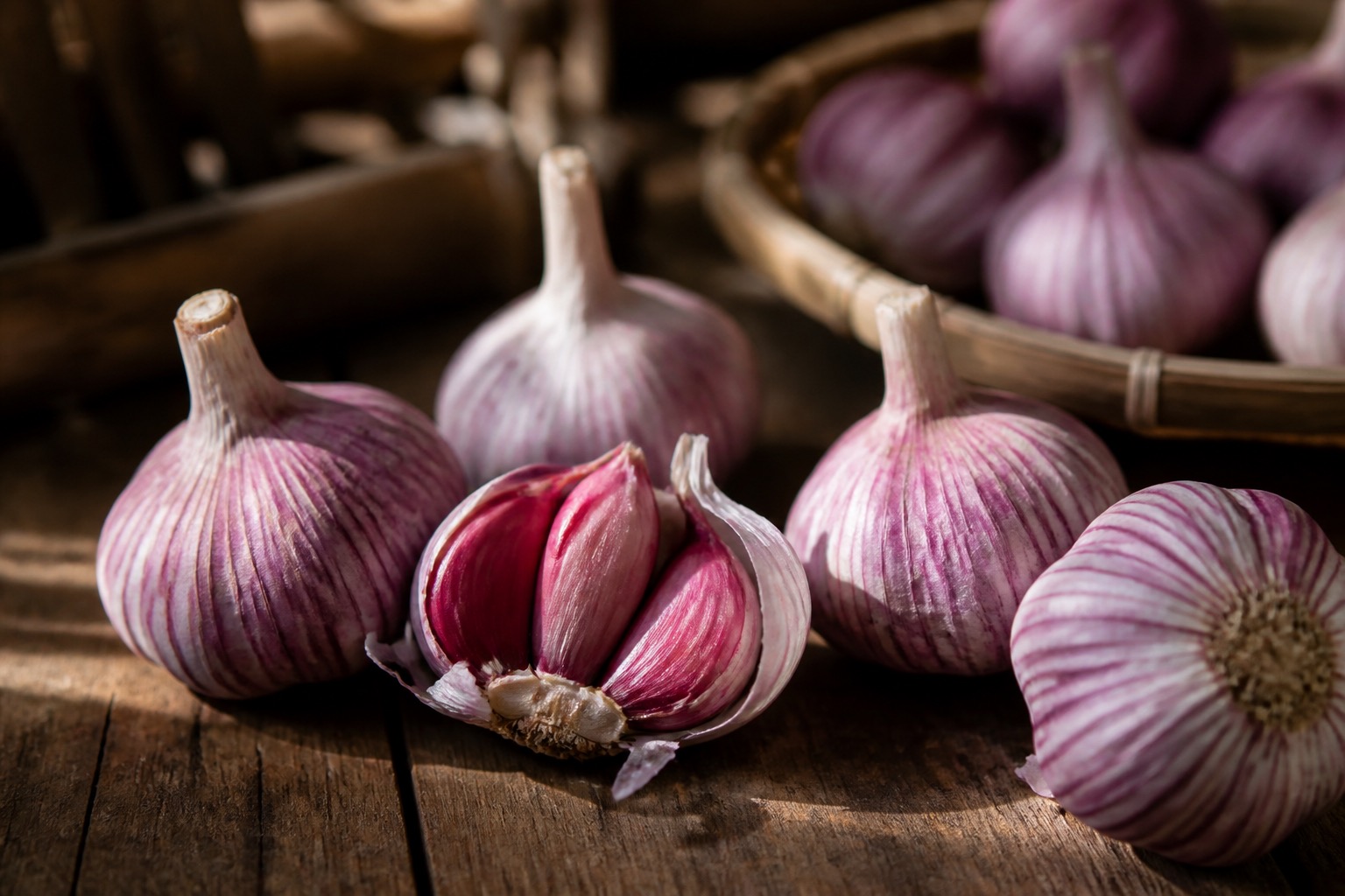 Purple garlic bulbs, studio