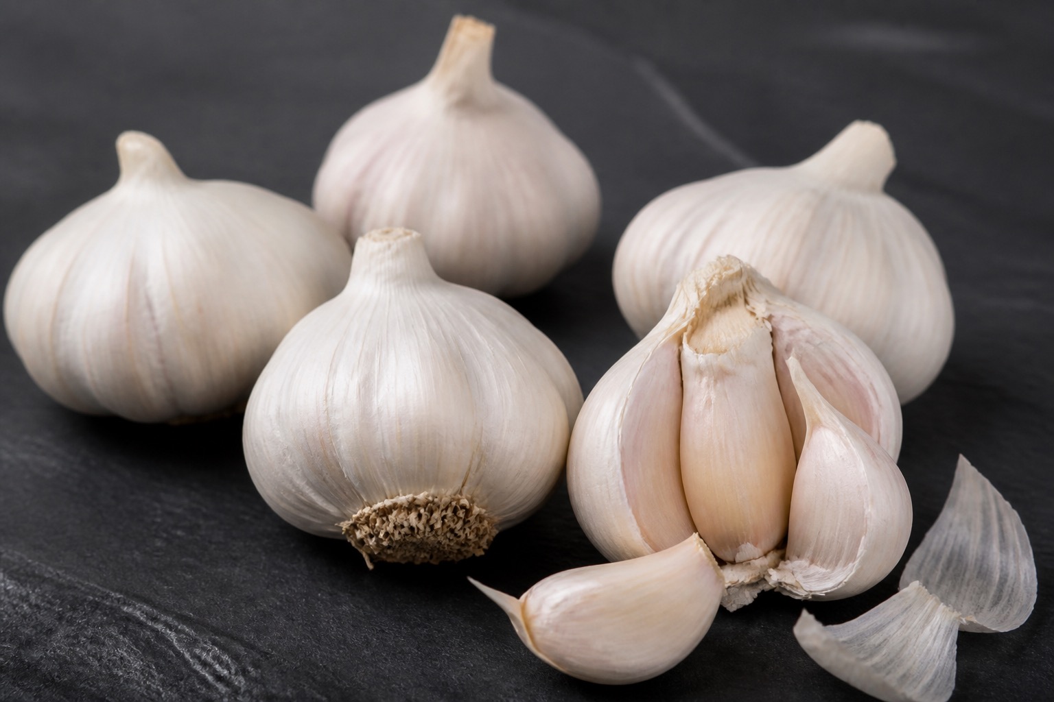 Premium white garlic bulbs, studio