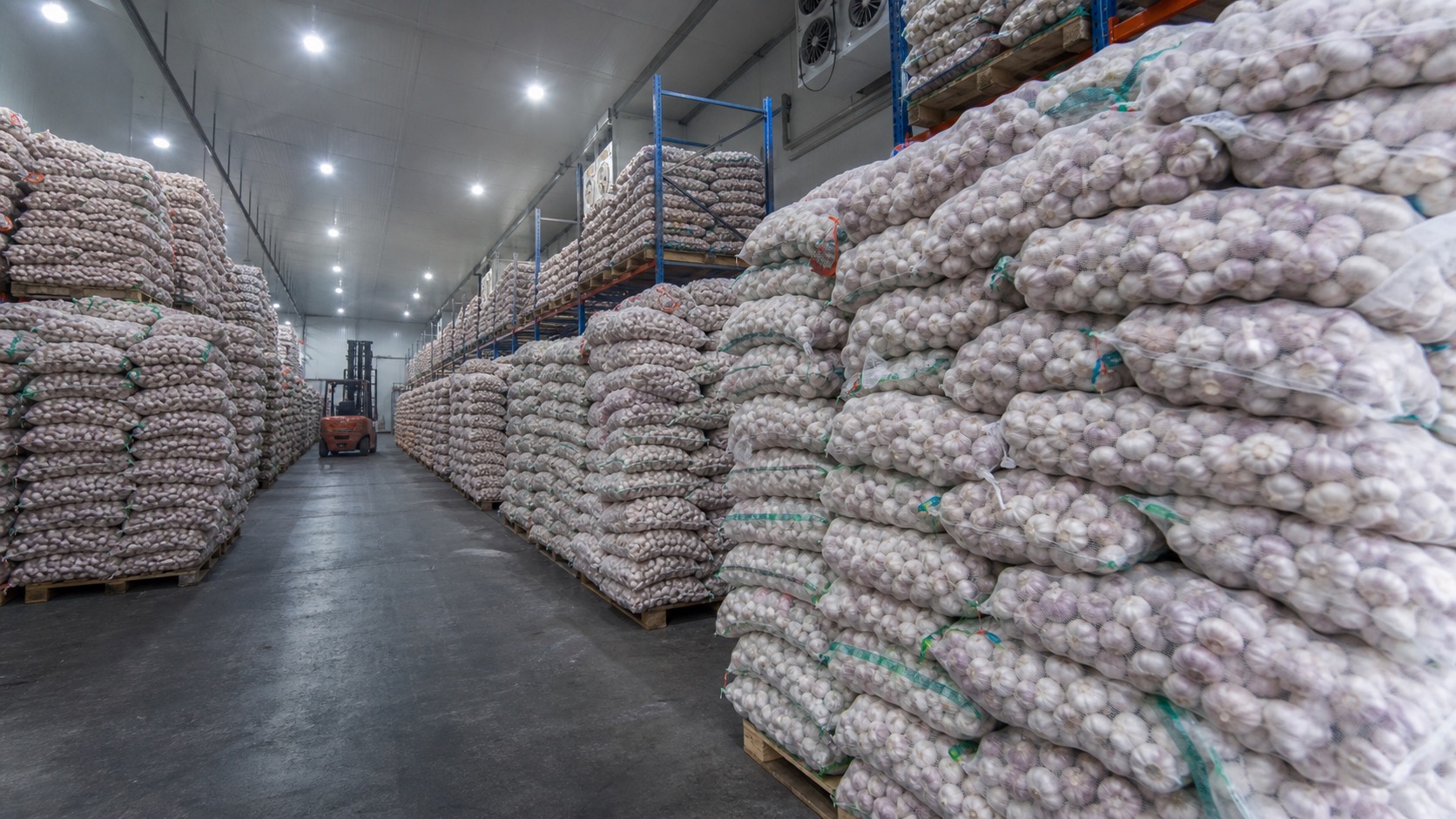 Cold storage warehouse interior
